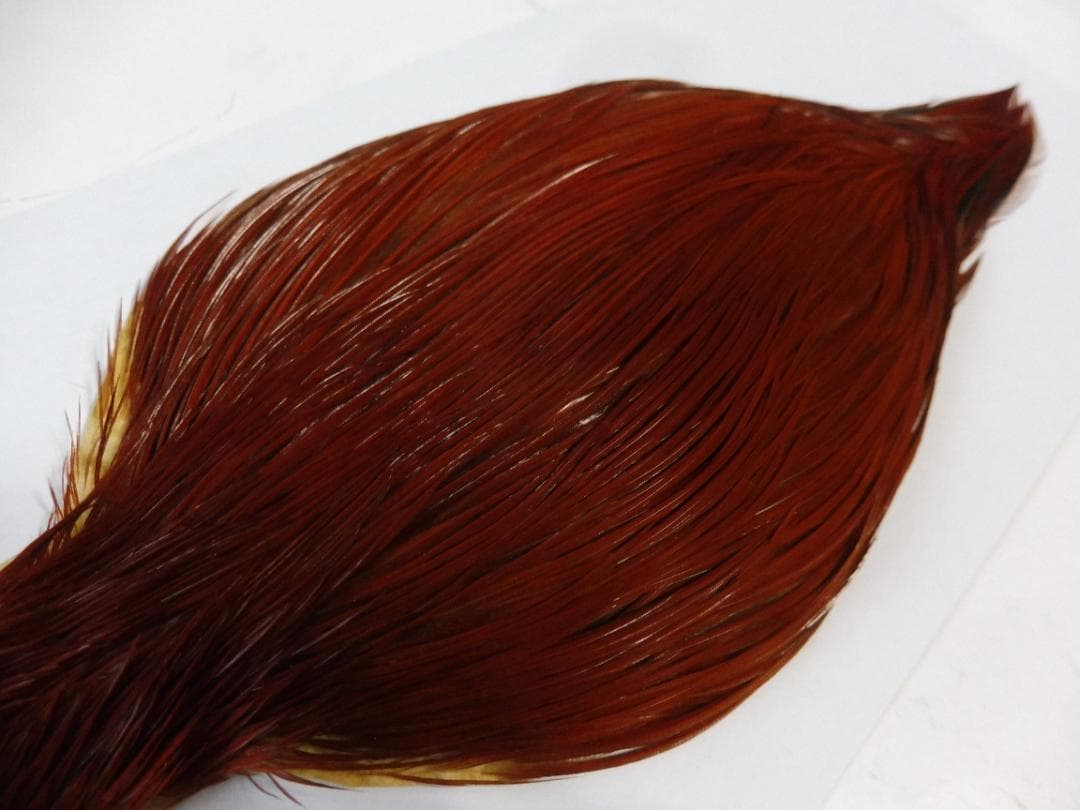 コックハックルケープ WHITING #1 ブラウン