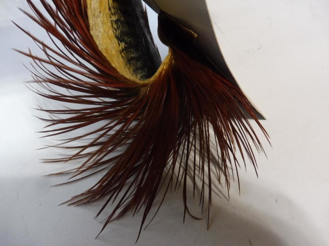 コックハックルケープ WHITING #1 ブラウン