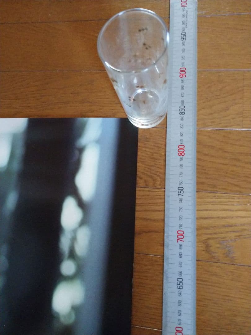 中森明菜ポスター 当時物 非売品です。