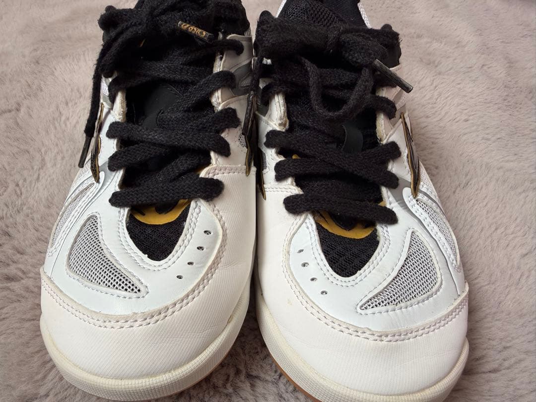 Mizuno WAVE FANG XT3 バドミントンシューズ 24.5㎝