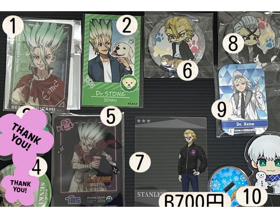 Dr.stone 千空　スタンリー　ゼノ　羽京　龍水　アクスタ　缶バッジ
