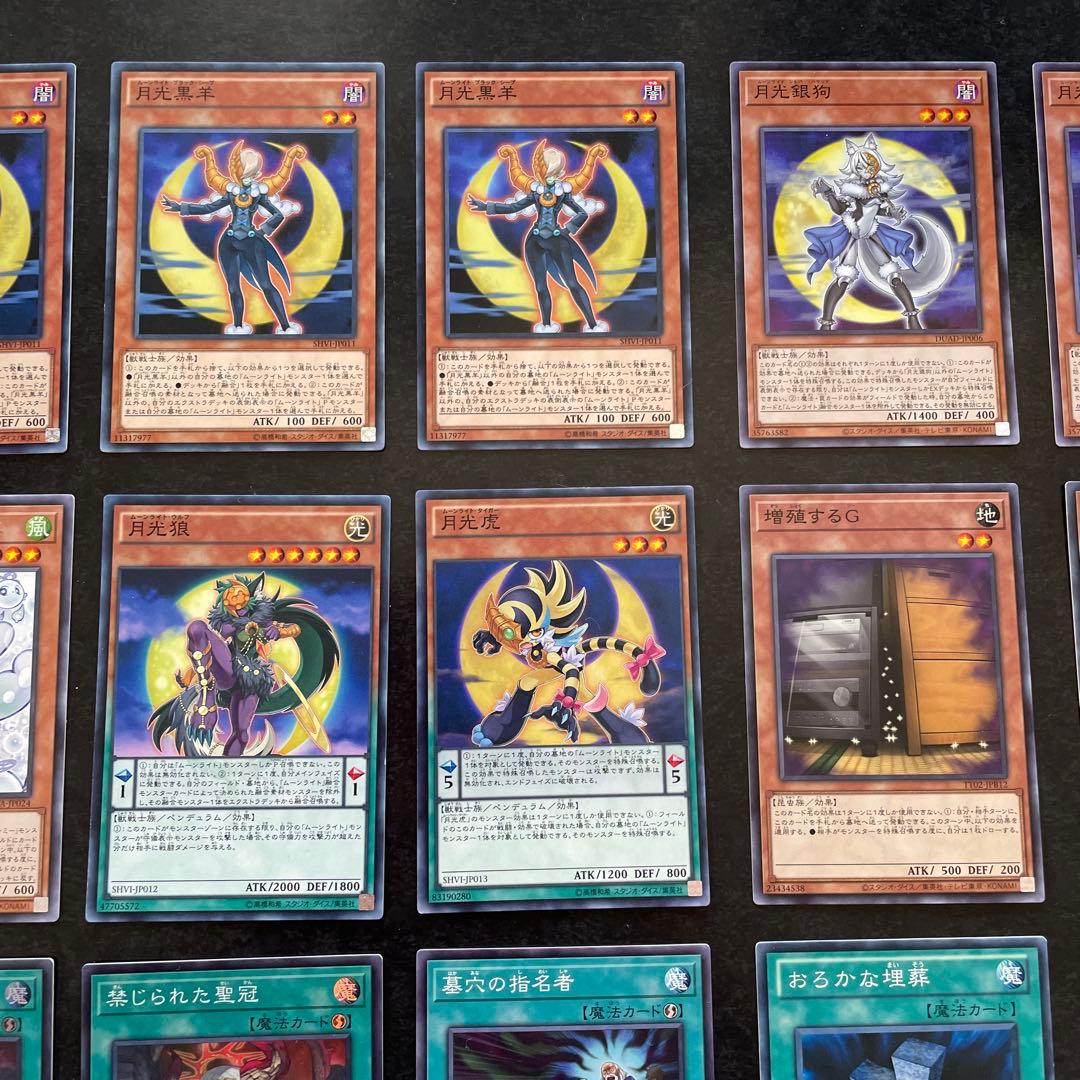 遊戯王デッキ　月光デッキ　ガチ構築 ②