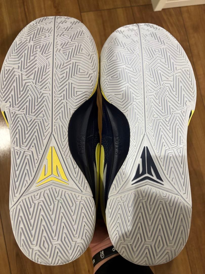 シューズ(男性用) NIKE JA 1 32cm