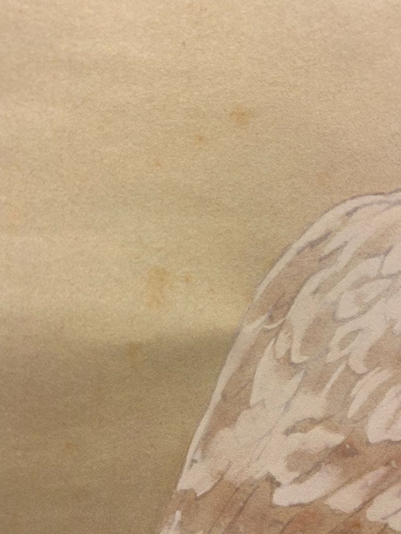 橋本関雪 複製工芸 掛け軸 掛軸 霊鷹 茶掛 絵画 日本画 花鳥図 中国 動物画