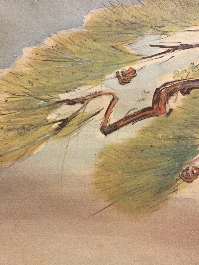 橋本関雪 複製工芸 掛け軸 掛軸 霊鷹 茶掛 絵画 日本画 花鳥図 中国 動物画