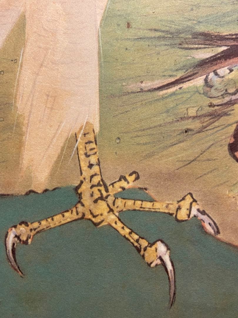 橋本関雪 複製工芸 掛け軸 掛軸 霊鷹 茶掛 絵画 日本画 花鳥図 中国 動物画