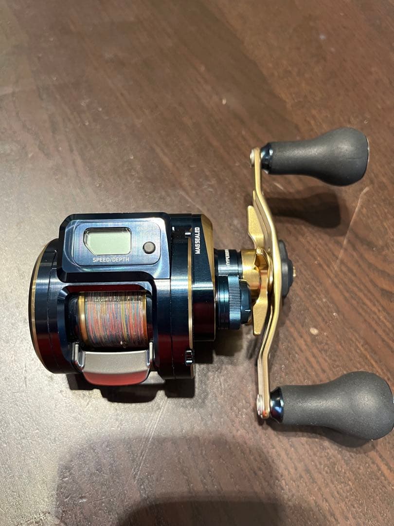 Daiwa 21SALTIGA IC 100P-DH リール