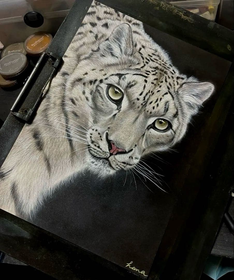 【こうちゃん】ユキヒョウ　絵画