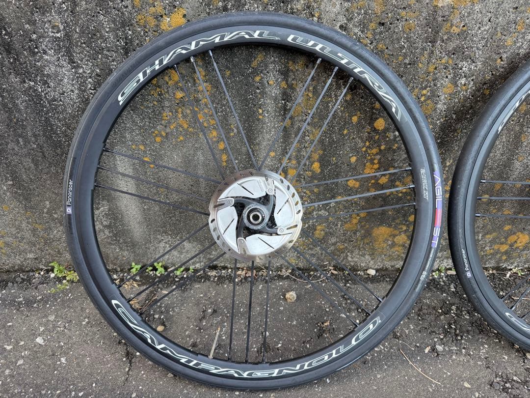 パーツ CAMPAGNOLO SHAMAL ULTRA DISC