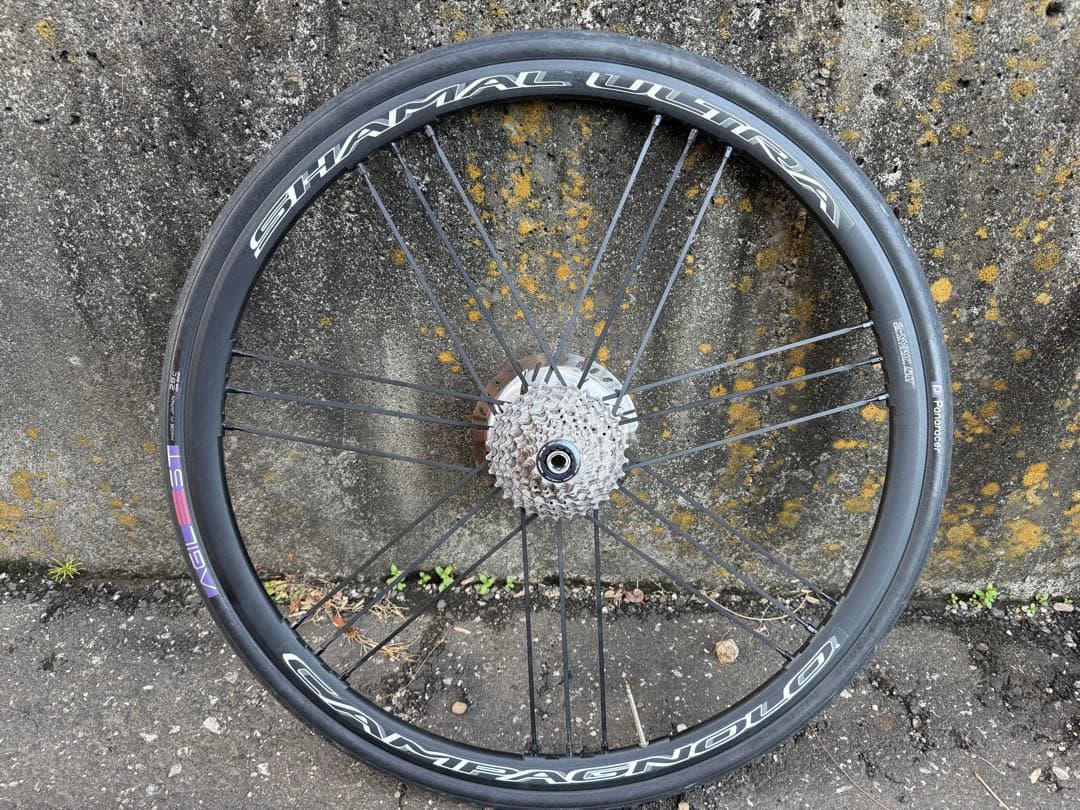 パーツ CAMPAGNOLO SHAMAL ULTRA DISC
