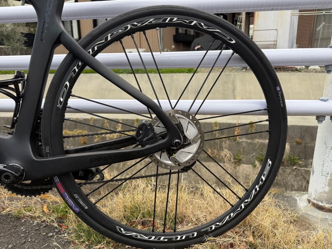 パーツ CAMPAGNOLO SHAMAL ULTRA DISC