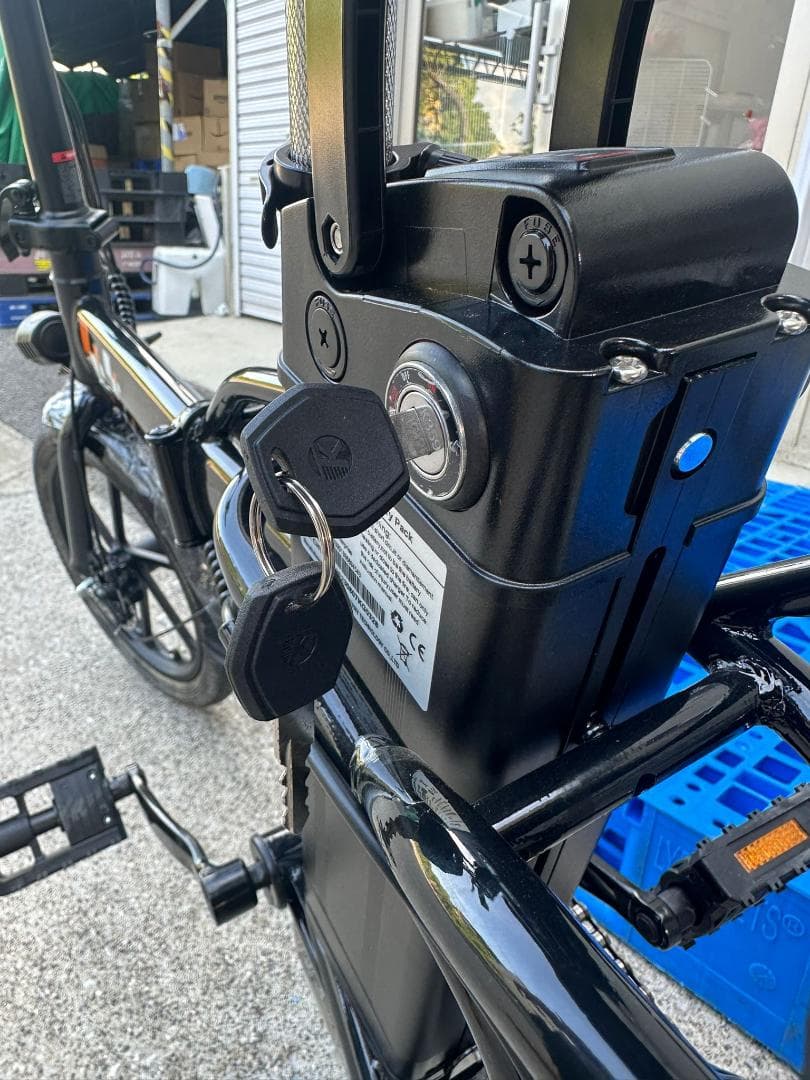 大人用折りたたみ電動自転車 350Wモーター搭載 16インチ LCDディスプレイ