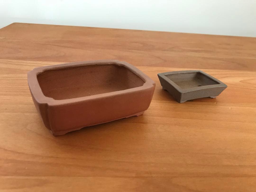 志水　鉢　盆栽　２セット価格　【未使用・新品】