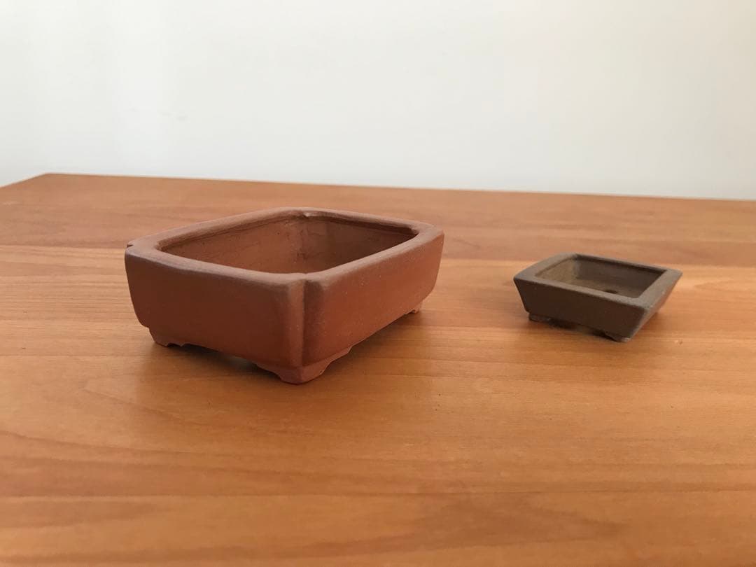 志水　鉢　盆栽　２セット価格　【未使用・新品】