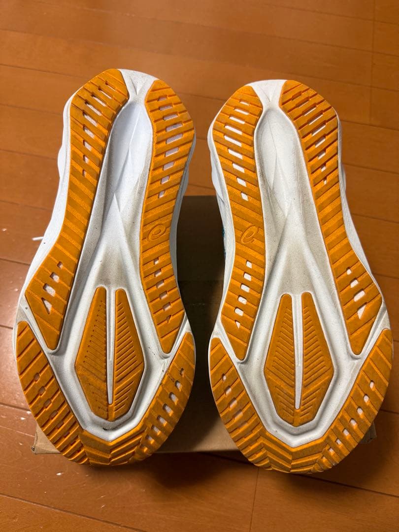 美品　ASICS NOVABLAST 5 26.0 箱なし