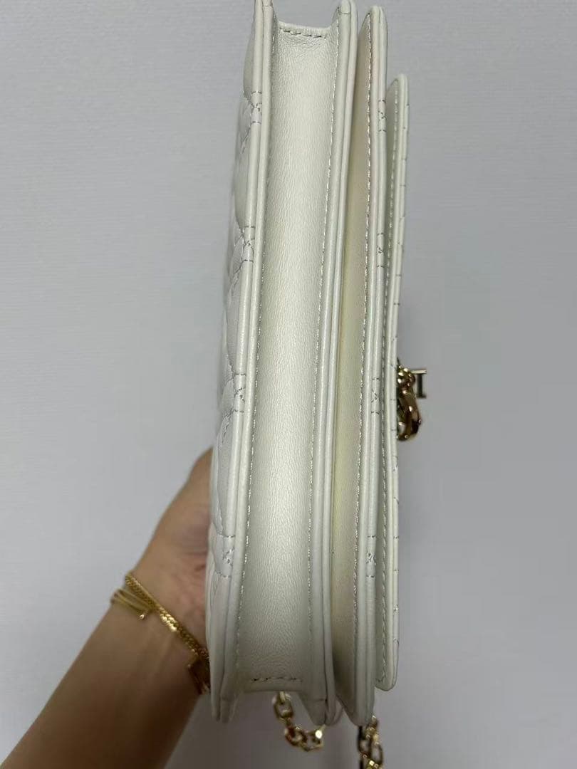 Christian Dior Talk フォンバッグ