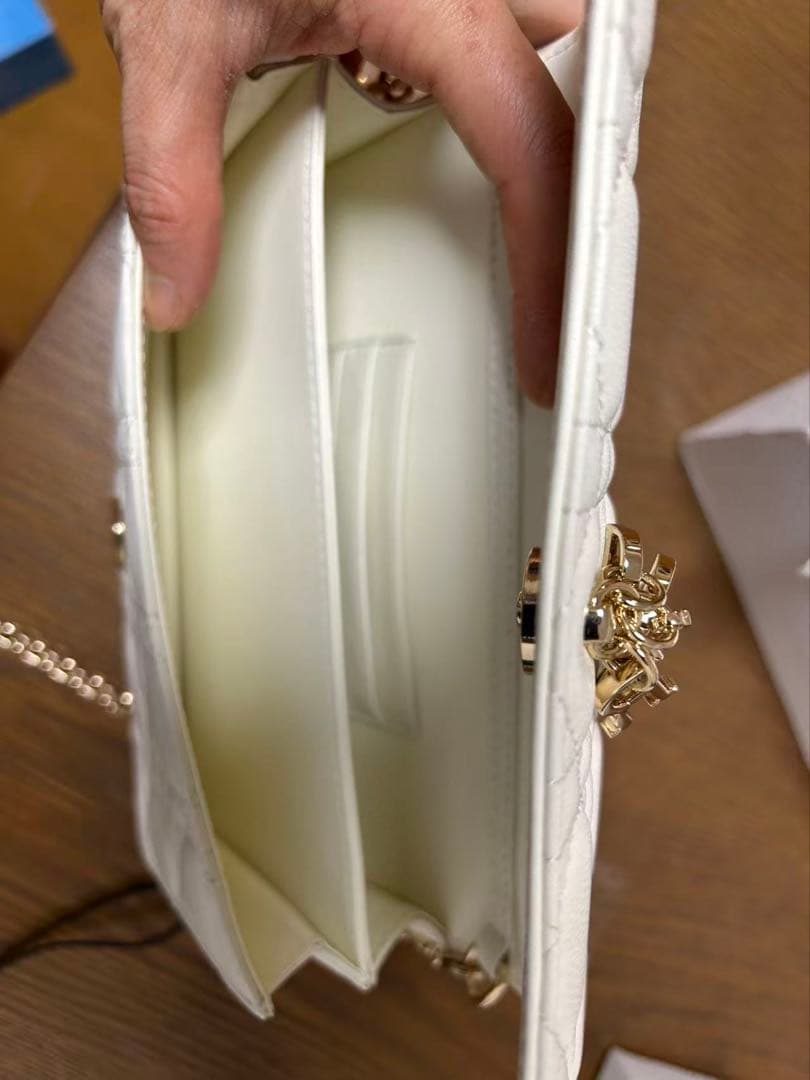 Christian Dior Talk フォンバッグ
