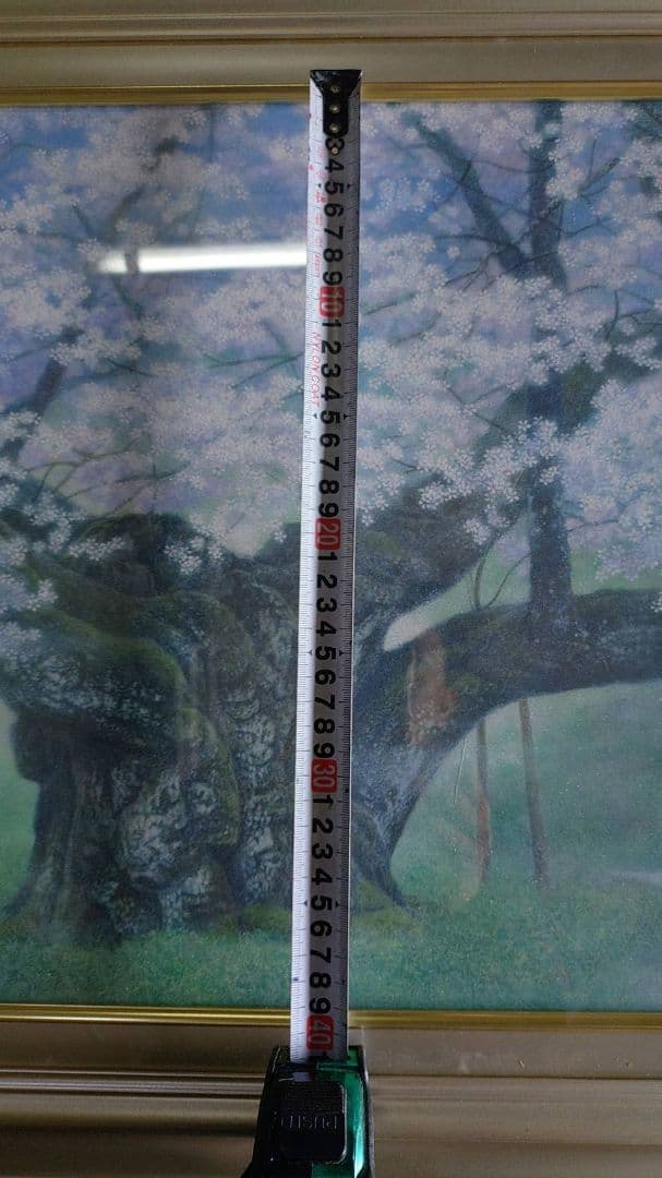 広森雄絵画　淡墨桜　幻奏譜　中古品