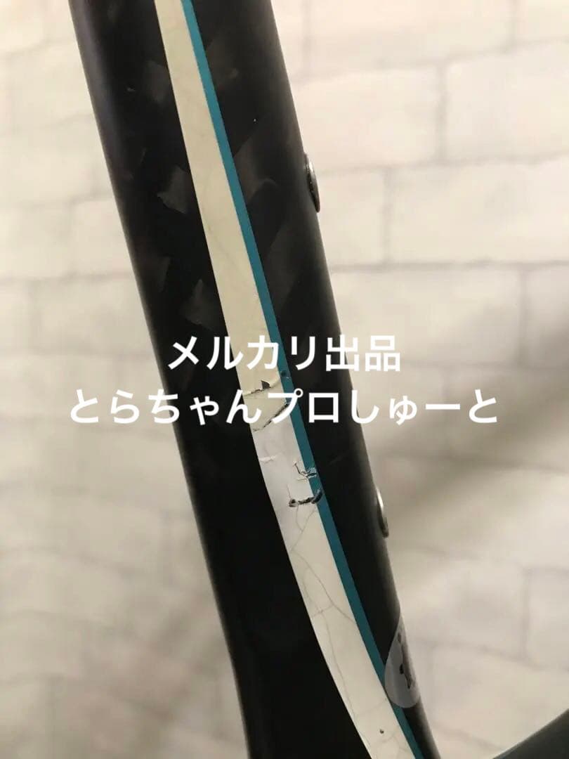 スペシャライズド　Ruby Proフレーム+スパカズボトルゲージ付