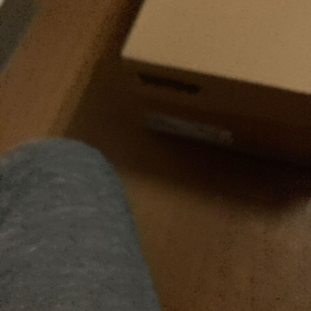 PUMA NTTRO　29Cm シャドウキャットニトロディスク