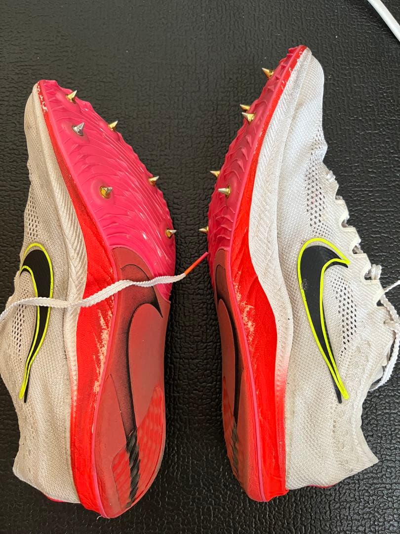 Nike ドラゴンフライ　26cm