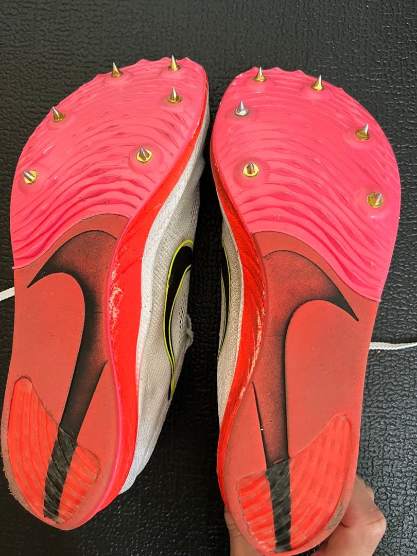 Nike ドラゴンフライ　26cm