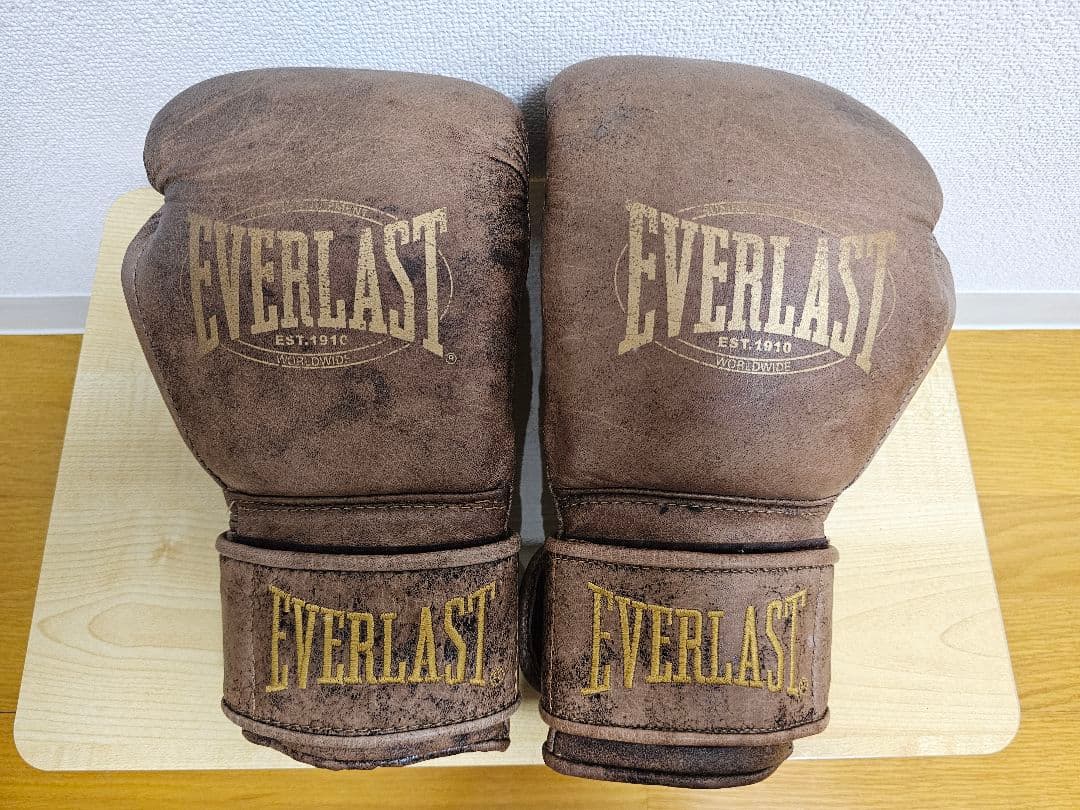 Everlast　BRONX BOXING GLOVE　12oz