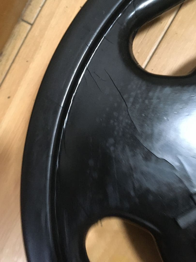 STEELEFLEX バーベルプレート10Kg× 2/計20Kg 穴径28ｍｍ