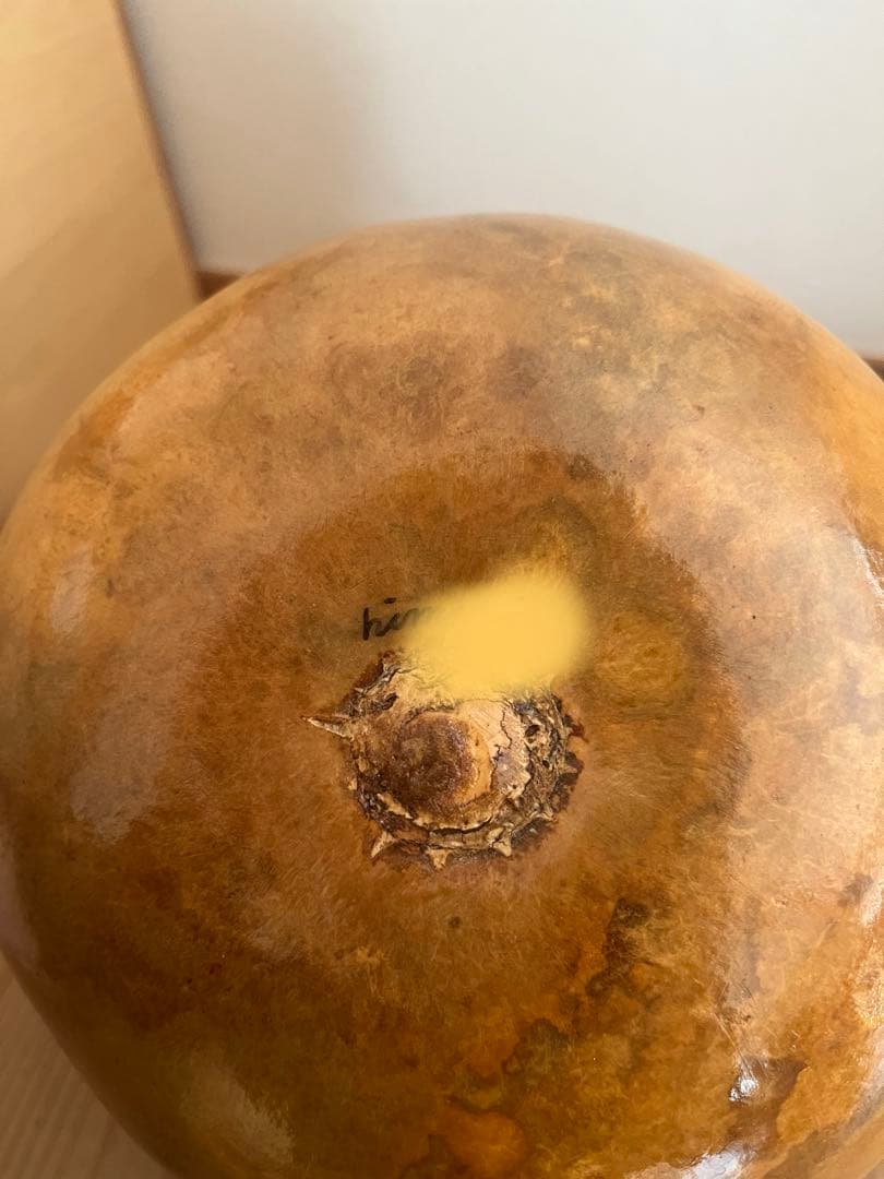 イプ　袋ケース付き