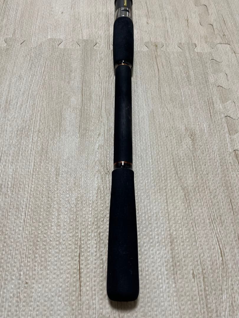 【Daiwa】LEADING-X SASOI 30-180 12/19限定