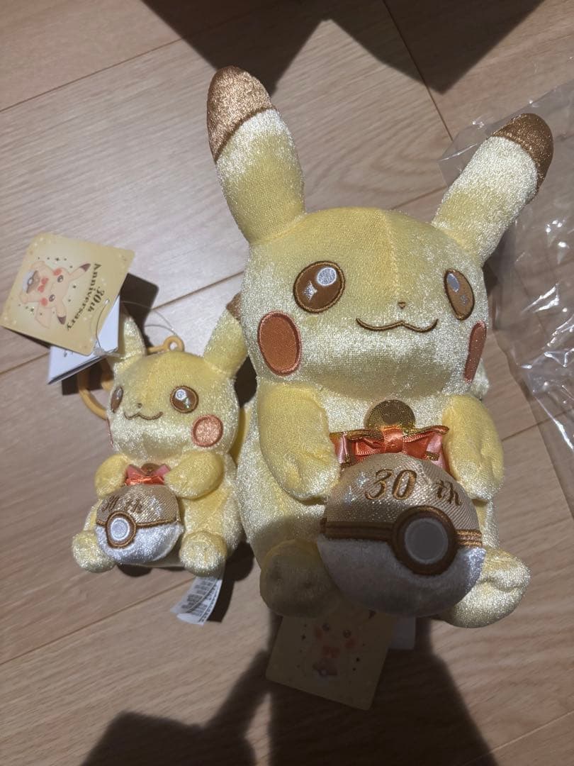 ポケモン 30周年記念 ピカピカ！ピカチュウ ぬいぐるみ マスコット　カントー