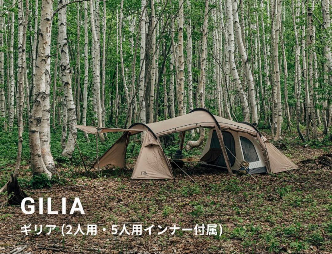 『期間限定価格』サバティカル ギリア サンドストーン【新品未開封】