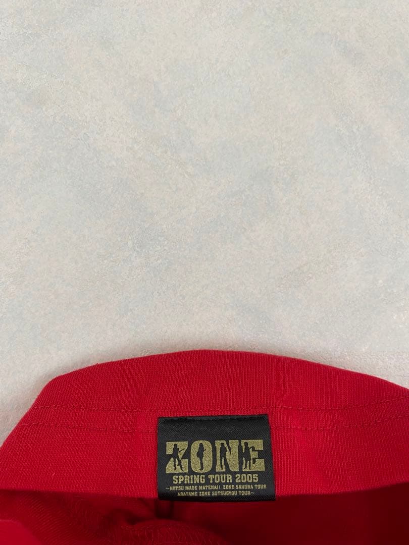 美品 ZONE SPRING TOUR 2005 Tシャツ サイズL