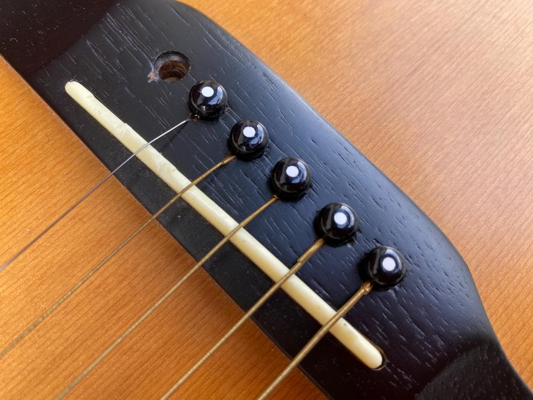 ★ アコースティック ギター Epiphone PR-200 ハードケース付