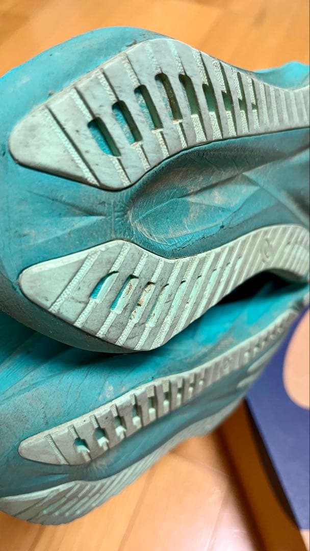 アシックスasicsノヴァブラスト5(25.5cm)