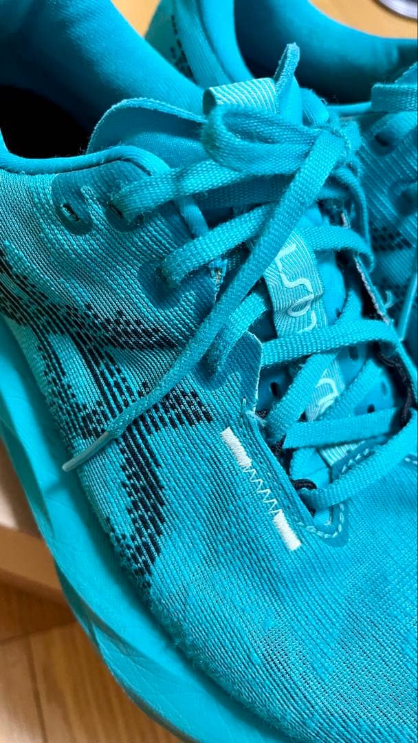 アシックスasicsノヴァブラスト5(25.5cm)