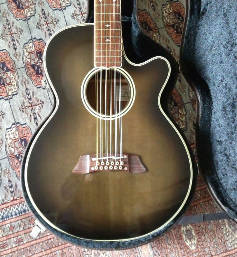 Takamine 12弦アコースティックギターNPT-110-12プリアンプ不良