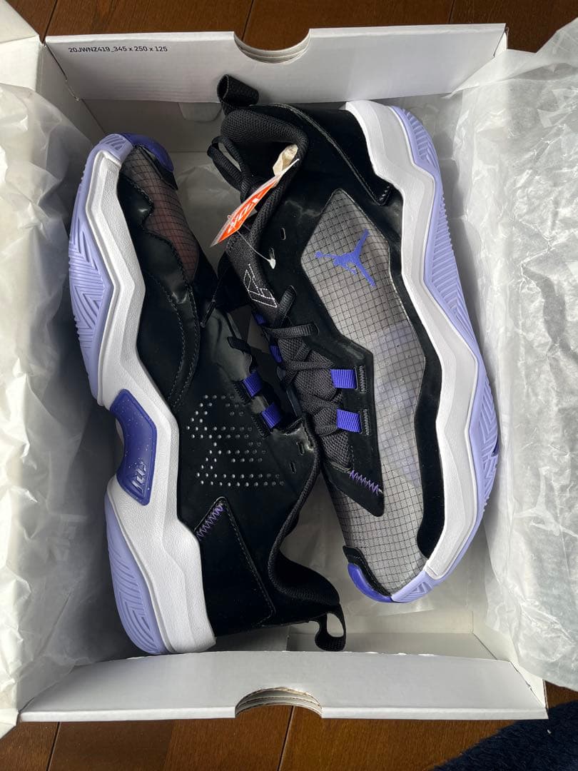 ジョーダン　ワンテイク4PF Jordan
