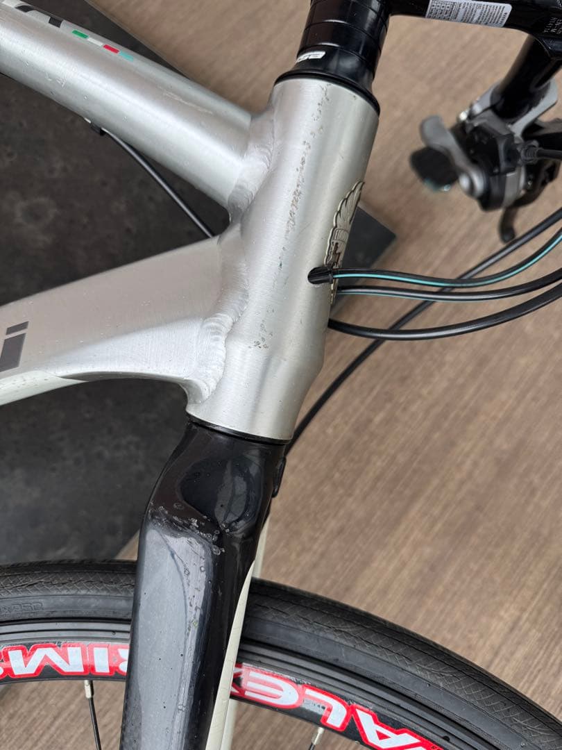 ビアンキ ROMA CARBON FORK ポリッシュ