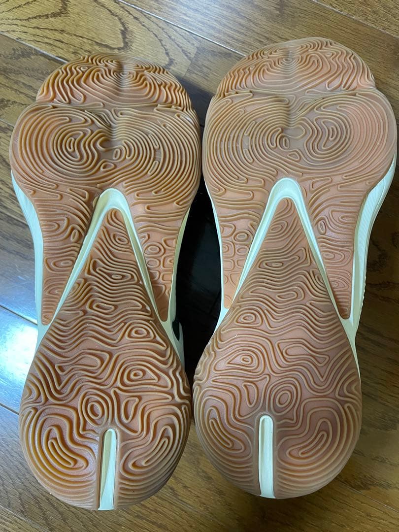 Nike バスケットボールシューズ ズームフリーク3 【サイズ30.5cm】