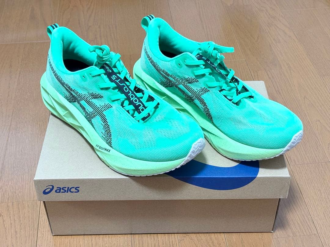 ASICS NOVABLAST 5 ノヴァブラスト　28.0cm スタンダード
