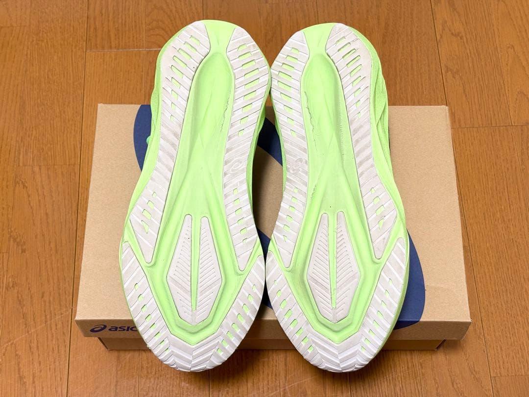 ASICS NOVABLAST 5 ノヴァブラスト　28.0cm スタンダード