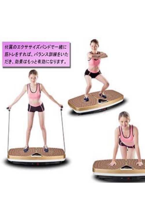 ダイエットマシン(ゴル一ド）
