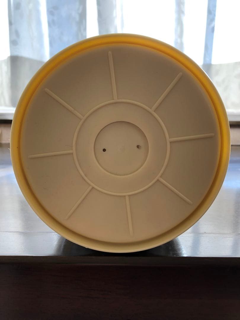 稀少品・ALL英語) ディズニー　ランチボックス