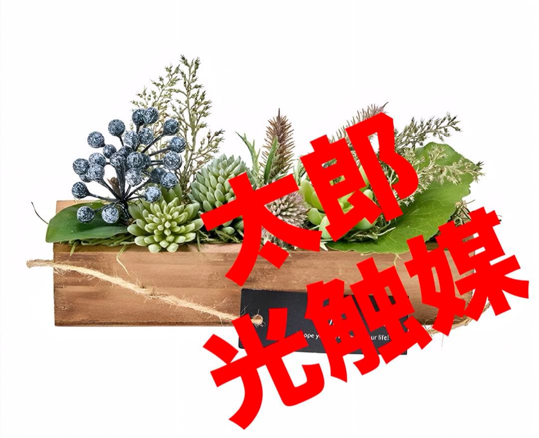 光触媒　人工観葉植物　ウォールグリーン　フェイクグリーン　多肉ウッドボックス8