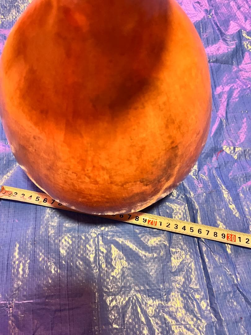 フラ楽器 イプ 約40cm 天然ひょうたん ハワイアン フラダンス用