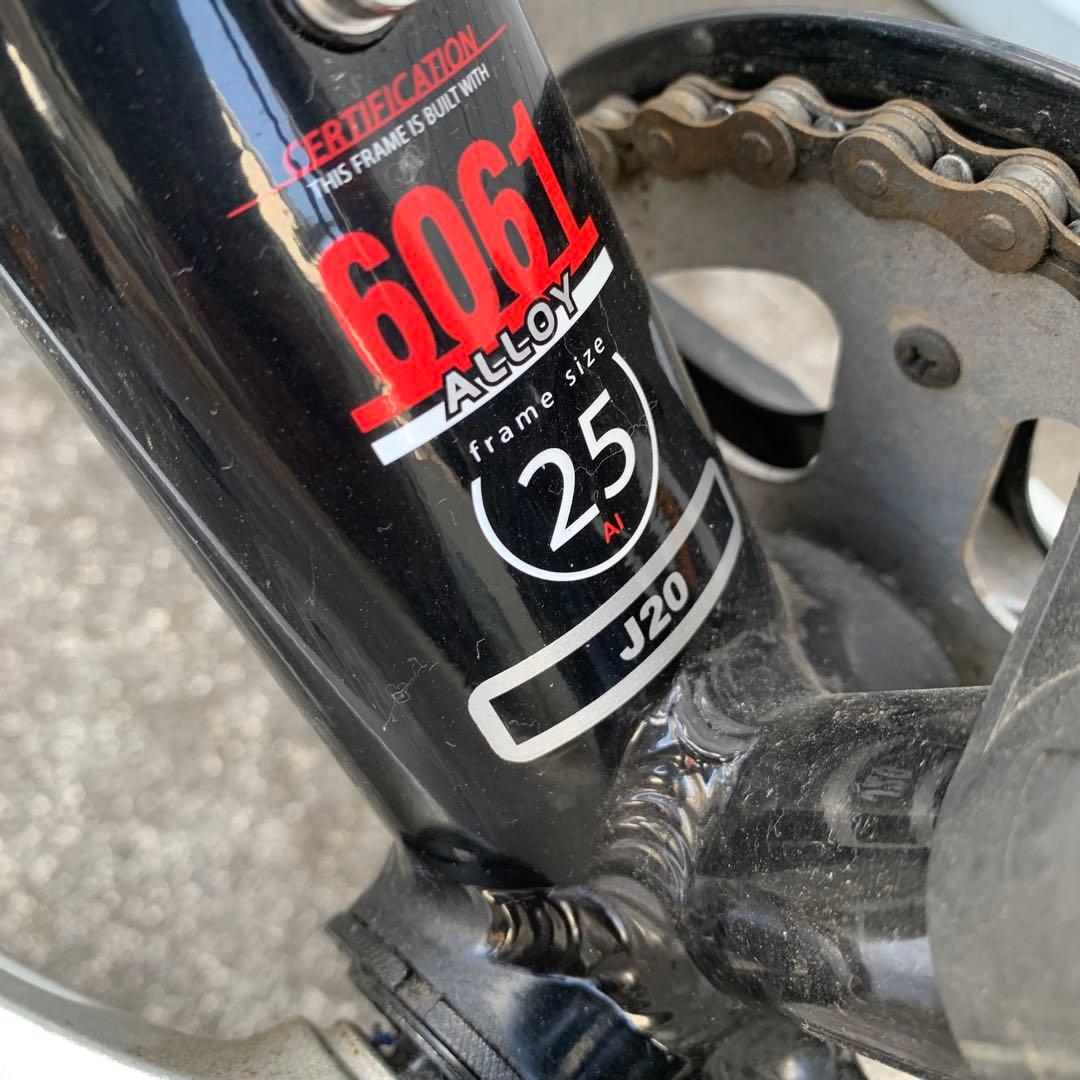引取限定 LOUIS GARNEAU ジュニア20インチ マウンテンバイク