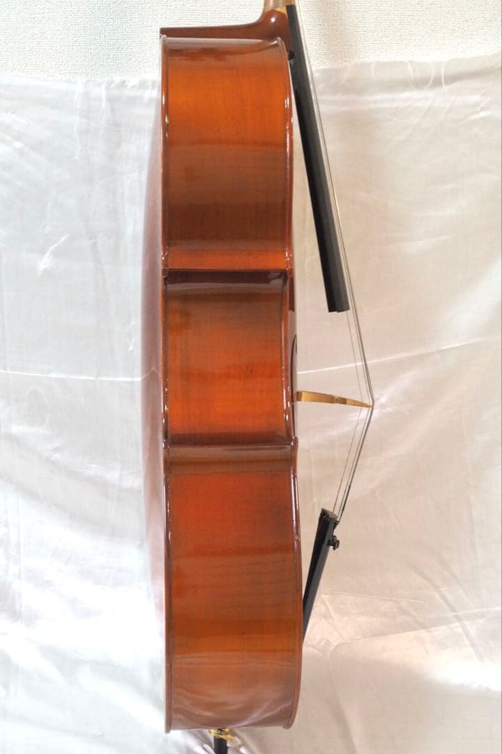 カルロジョルダーノ SC-100 4/4 チェロ フルサイズ