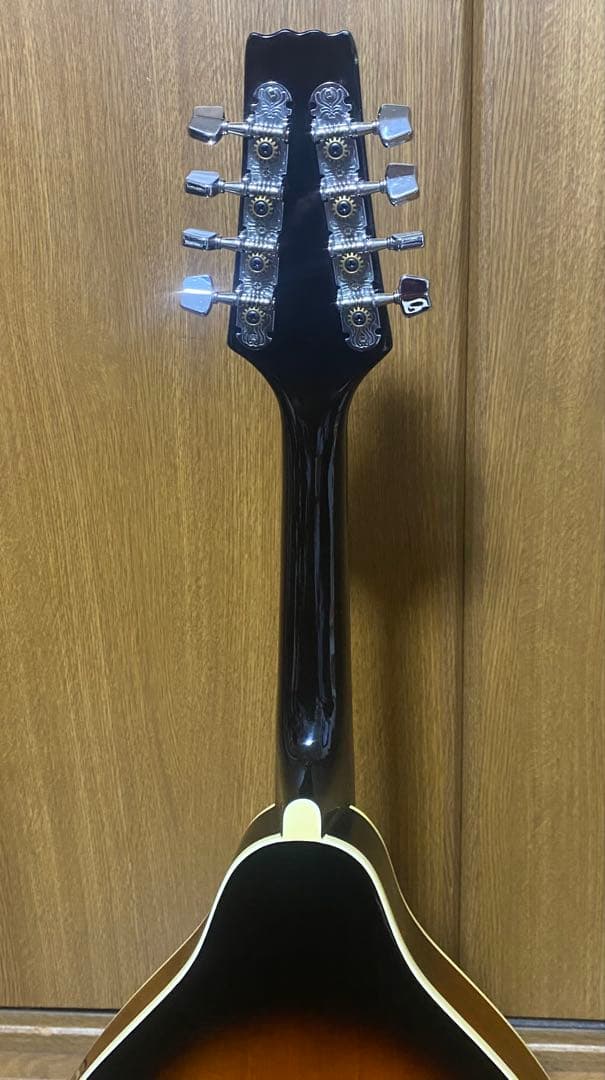 Aria AM-20E ピックアップ搭載　ハードケース付　エレキマンドリン