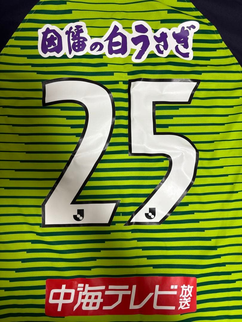 ガイナーレ鳥取 選手着用ユニフォーム 2021モデル　(秋山大地選手) サイズO